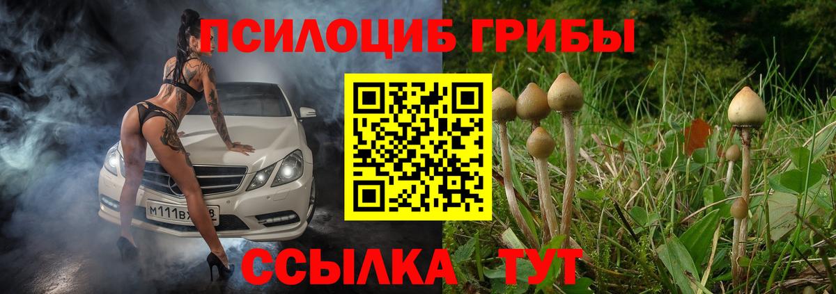где купить наркотик  Вход с VPN  Псилоцибиновые грибы MAGIC MUSHROOMS  Мурино  Галлюциногенные грибы Cubensis 