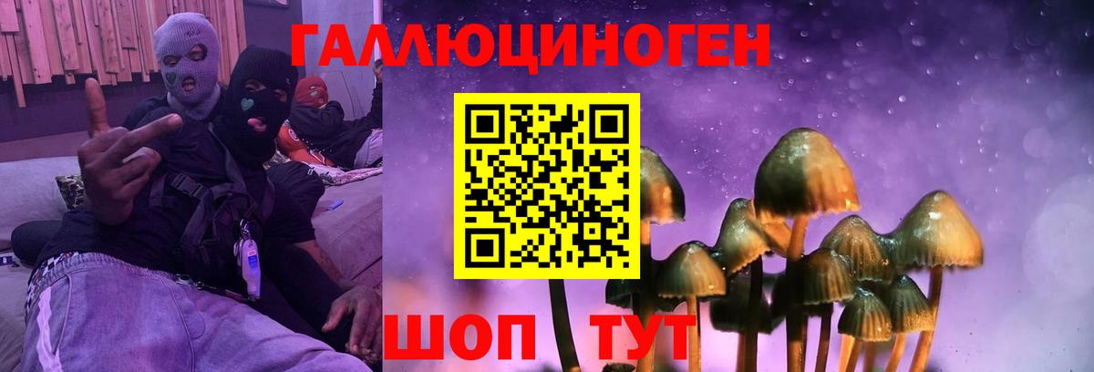 Галлюциногенные грибы Psilocybe Мурино